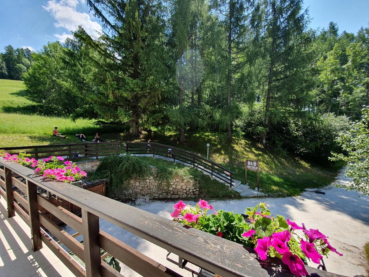 B&B Cristallo Кортина-д'Ампеццо Экстерьер фото