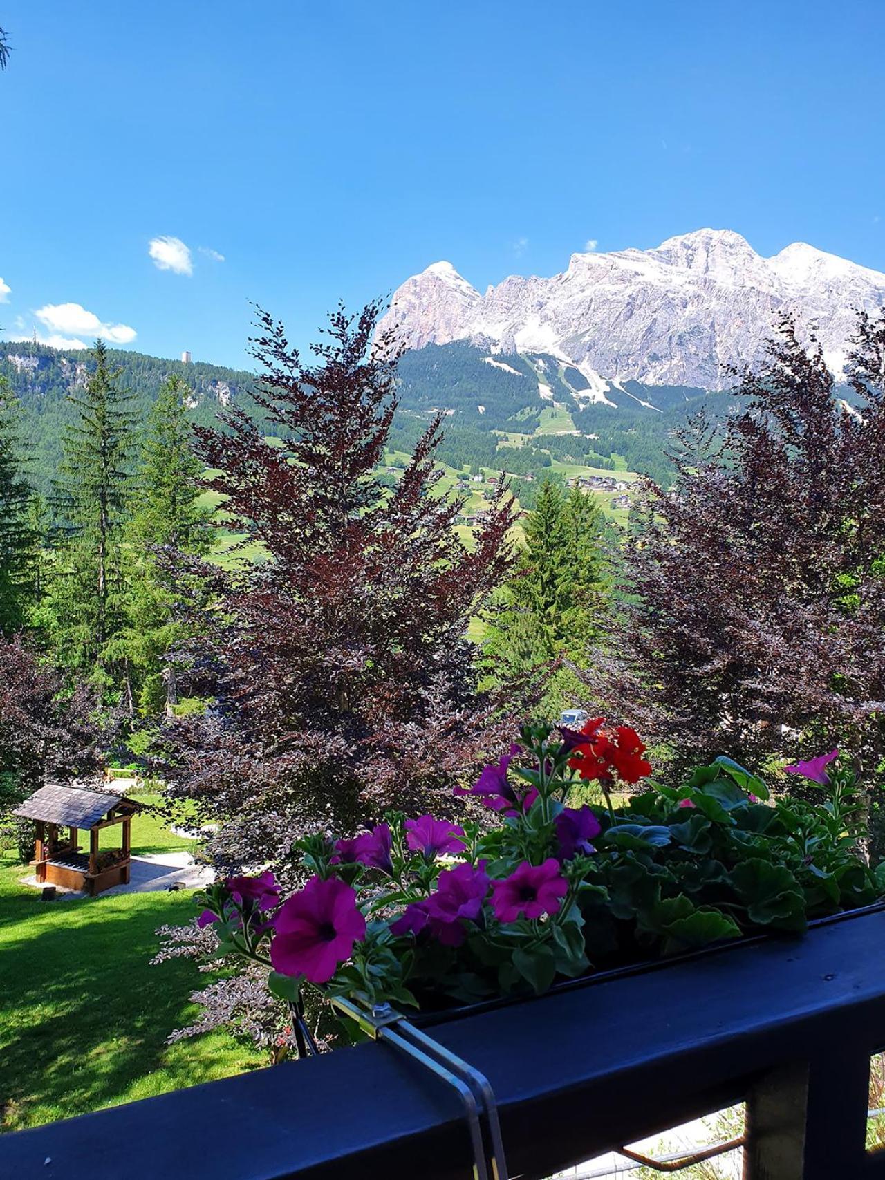 B&B Cristallo Кортина-д'Ампеццо Экстерьер фото